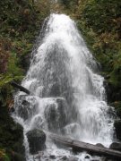 11.11.06 Waukeena Multnomah Falls 028 